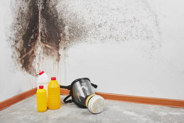 Patterson Tract, CA Mold Remediation Company