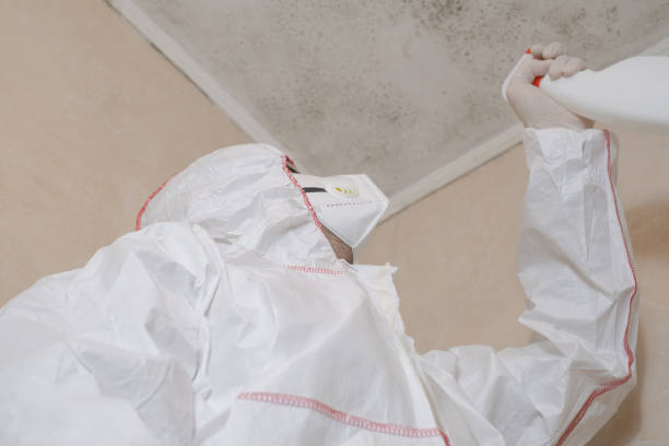 Best Industrial Mold Remediation in Patterson Tract, CA