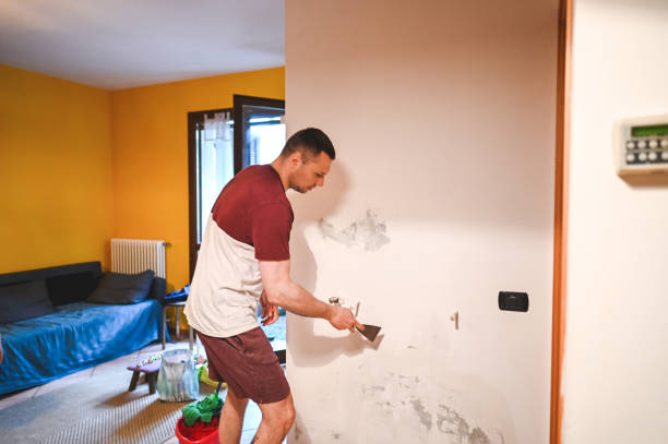 Best DIY Mold Remediation Support Services in Patterson Tract, CA